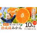 ふるさと納税 訳あり 熟成みかん 10kg ｜みかん 徳島 徳島県佐那河内村