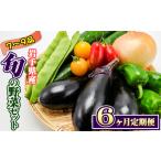 野菜セット 7品