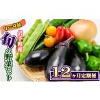 野菜セット 7品