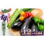 野菜セット 10品