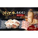 近江牛 ホルモン 塩だれ付き 200g
