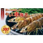 fu.... налог S010-004_.. машина море .[... машина море .]300g( предшествующий предварительный заказ ) / [ надеты день указание ] высота оценка .. машина море .... машина море .300g машина море . море . морепродукты.. Kumamoto префектура небо . город 