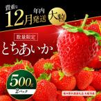 いちご 年内発送 初摘みとちあいか 500g以上