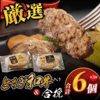 ハンバーグ 1個150g ×18個 2700g