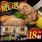 とちぎ和牛入りハンバーグ& ハンバーグ 1個150g ×各9個 2700g 和牛 ハンバーグ 2種 セット