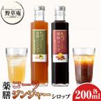 isa749 野草庵オリジナル 薬膳コーラシロップ