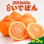 S086-002A_井手尾さん家の濃厚いでぽん