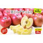 りんごサンふじ蜜入り訳あり りんご