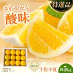 土佐小夏 訳ありご 約5kg〈2027年5月下旬~2027年6月下旬頃…