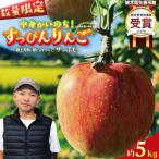 樹上完熟 葉とらず すっぴんりんご 5kg