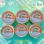 カップアイス バニラ 120ml×6個