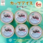 カップアイス コーヒー 120ml×6個