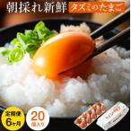 定期便】タズミの卵Mサイズ 20個×6か月