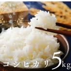 令和7年産 こしひかり 5kg