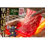 里見伏姫牛 カルビ焼肉用250g以上 mi0119-0001