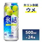 1248.キリン氷結 パイナップル 500ml