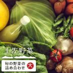 やさい 10~13品目 詰め合わせ セット