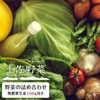 旬の土佐野菜セット 無農薬生姜100g付き