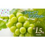 シャインマスカット 約1.5kg