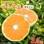 ゆら早生みかん 3.5kg