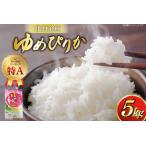 ふるさと納税 米 令和7