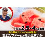 ショッピングふるさと納税 先行予約 ふるさと納税 【先行予約】『きよたファーム』の黒小玉すいか2玉セット 1玉約2.5-4kg前後 熊本県玉名郡玉東町『きよたファーム』《2026年7月上旬.. 熊本県玉東町