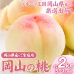 桃 岡山の桃 約2kg
