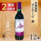 ビンテージ赤12本