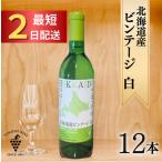 ビンテージ白12本