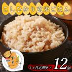 定期便3回 プレミアムこしひかり 160g