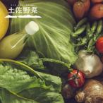 旬の土佐野菜セット 旬の詰め合わせ小セット