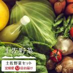 やさい 12回定期便 土佐野菜セット