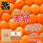 fu.... налог яйцо красный яйцо обычная температура 60 шт Tama . яйцо Tokushima префектура 