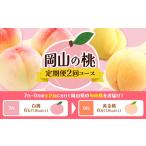岡山の桃定期便 2回コース 桃