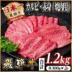 飛騨牛 カルビ 赤身 焼肉用 計1.2kg_カルビ_