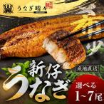 うなぎ晴々 蒲焼2尾