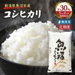 越後魚沼郷 魚沼産コシヒカリ
