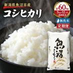 無洗米 定期便 12ヶ月 雪国逸品 コシヒカリ 5kg