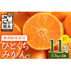 D-104 平倉果樹園みかん食べ比べコース