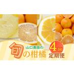 品質 年 4回 定期便 山口 農園直送 旬の柑橘