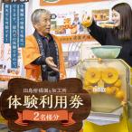 田島柑橘園&加工所の体験利用券 2名