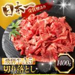 定期便 飛騨牛 A5 切り落とし