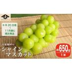 ふるさと納税 シャインマスカット 約650g 1房 ［小布施屋］ フルーツ 果物 くだもの ぶどう 葡萄 ブドウ 数量限定 クール便配送 長野県産 産地.. 長野県小布施町