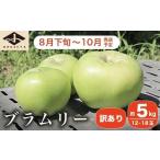 ショッピングふるさと納税 訳あり 傷 ふるさと納税 【訳あり】 クッキングアップル ブラムリー 約5kg 12〜18玉 ［小布施屋］  林檎 リンゴ フルーツ 果物 傷 キズ 不揃い 規格外 家.. 長野県小布施町