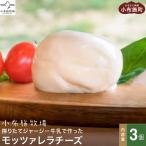 無添加 小布施牧場の搾りたてジャージー牛乳で作ったモッツ…