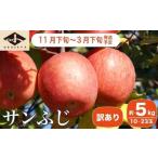 ふるさと納税 【訳あり】 サンふじ 約5kg 10〜23玉 ［小布施屋］ りんご 林檎 リンゴ 不揃い 規格外 果物 フルーツ 生産者応援 支援 家庭用 長.. 長野県小布施町