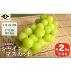 ふるさと納税 シャインマスカット 約2kg 3〜5房 ［小布施屋］ フルーツ 果物 くだもの ぶどう 葡萄 ブドウ 数量限定 クール便配送 長野県産 産.. 長野県小布施町