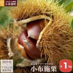 小布施栗 約1kg