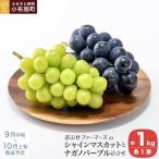 皮ごと食べられる 産ぶどう2種詰め合わせ