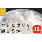 コシヒカリ&風さやか 食べ比べ 約10kg